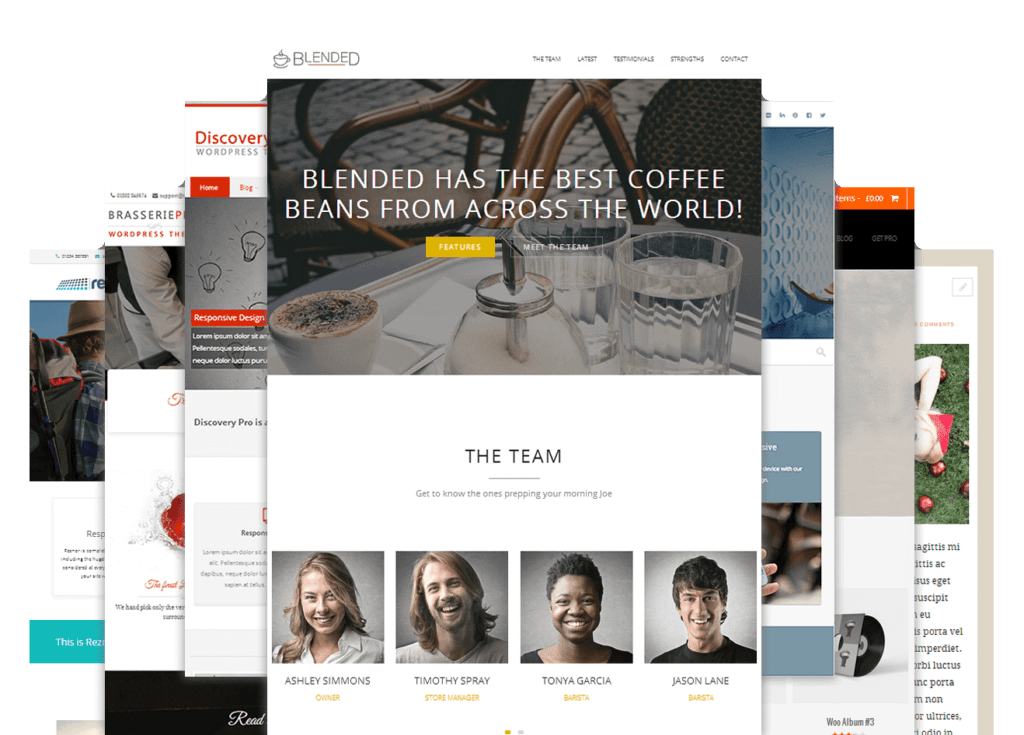 theme wordpress