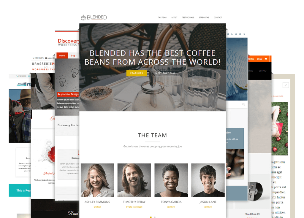 theme wordpress